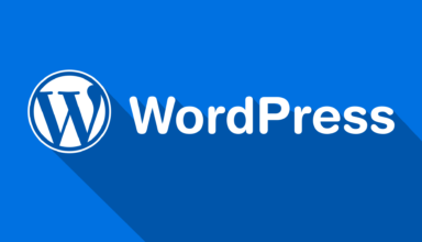 Баг в плагине для WordPress может использоваться для захвата сайтов - «Новости»