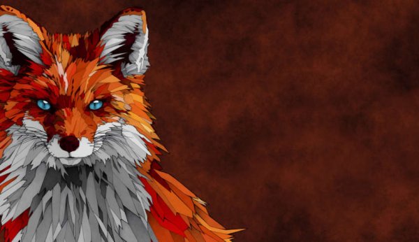 Сторожевой лис. Как настроить Firefox для повышения приватности - «Новости»
