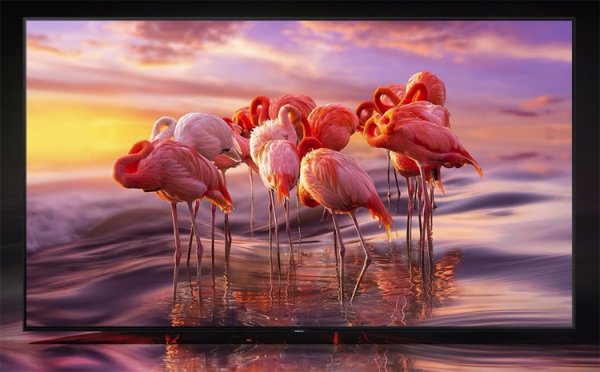 6 млн рублей: самый большой телевизор Samsung QLED 8K выходит в России - «Новости сети»