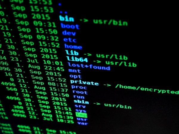 В системе Госкомвоенпрома появился собственный спецназ - «Интернет и связь»
