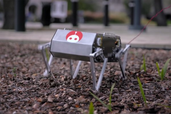 Небольшой четвероногий робот Doggo умеет делать сальто - «Новости сети»