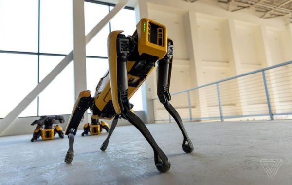 Робот Spot от Boston Dynamics покидает пределы лаборатории - «Новости сети»