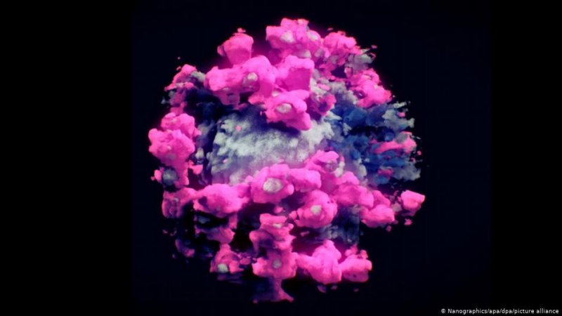 Ученые сделали первое 3D-фото коронавируса SARS-CoV-2 - «Интернет и связь»